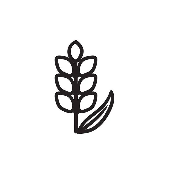 Icono de boceto de trigo . — Vector de stock