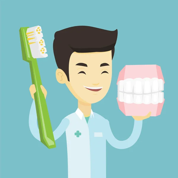 Tandarts met tandheelkundige kaak model en tandenborstel. — Stockvector