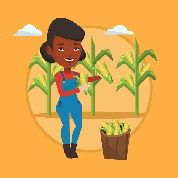 Agricultor recogiendo ilustración vector de maíz . — Vector de stock