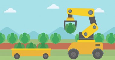 Lahana tarım alanına hasat robot.