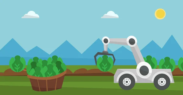 Robot récoltant le chou dans un champ agricole . — Image vectorielle