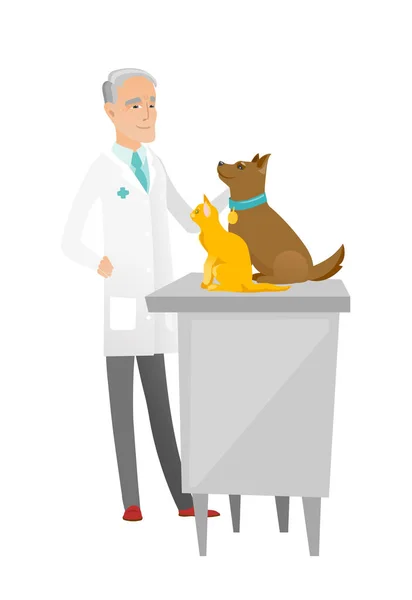 Senior kaukasiska veterinär undersöka husdjur. — Stock vektor