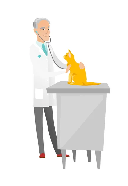 Senior kaukasiska veterinär undersöka katten. — Stock vektor
