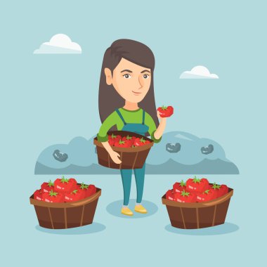 Domates toplama genç beyaz çiftçi.