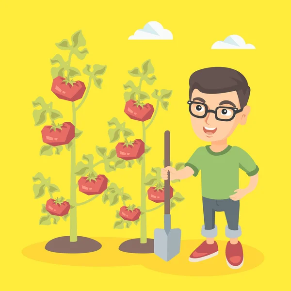 Pequeno fazendeiro caucasiano menino cultivando tomates . —  Vetores de Stock