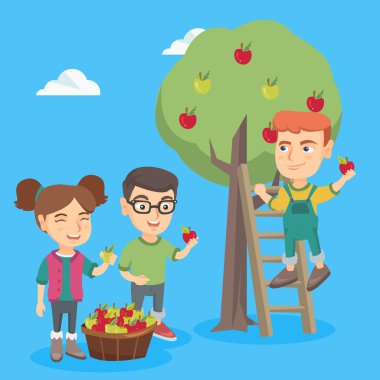 Elma bahçesi elma hasat çocuk.