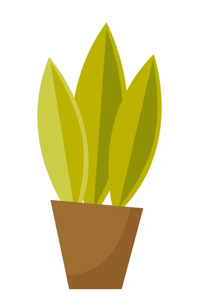Zelené rostliny v hrnci kreslené vektorové ilustrace. — Stockový vektor