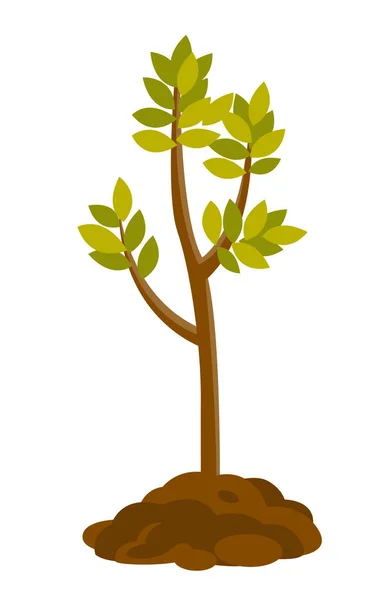 Tree growing in the soil vector illustration. — Stock Vector