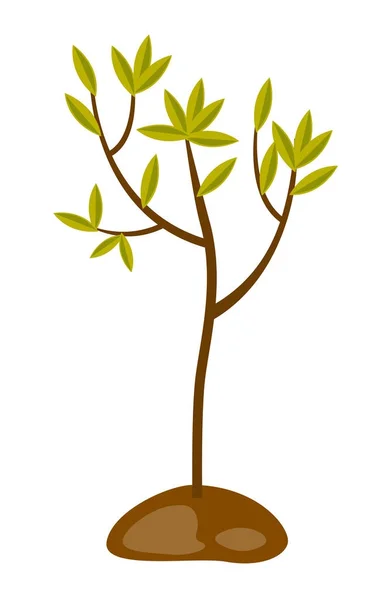 Illustration vectorielle de la croissance des arbres dans le sol . — Image vectorielle