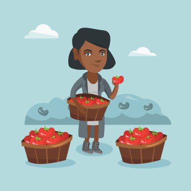 Domates toplama genç Afro-Amerikan çiftçi.