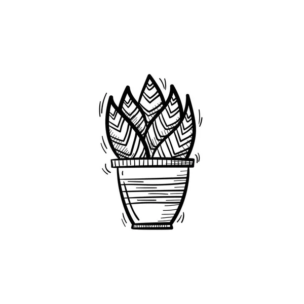 Sansevieria trifasciata dans une icône de croquis en pot . — Image vectorielle