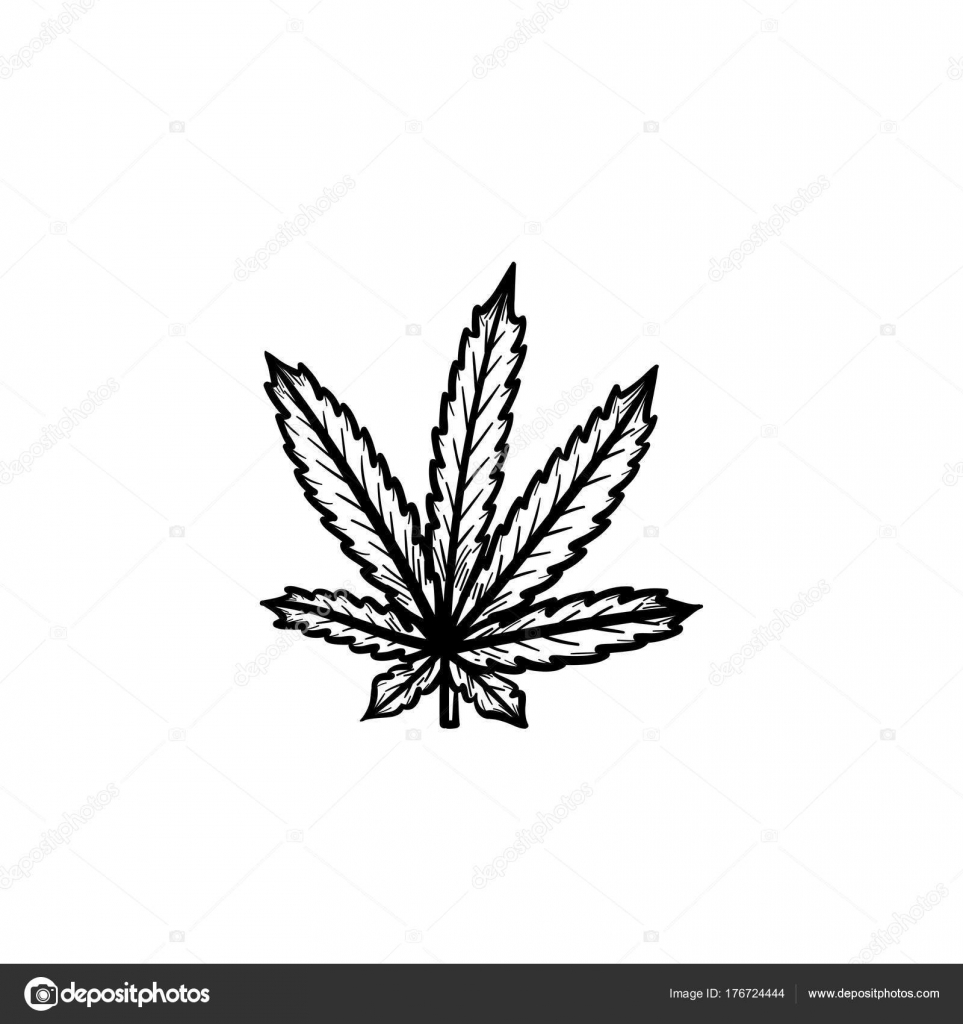 🍁 Tattoo #ganja #cannabis #weed #marijuana #cannabiscommunity #thc  #weedstagram #weedporn #maryjane #stoner #cannabisculture #hightime... |  Instagram
