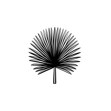El çizilmiş kroki simgesi dikenli palmiye yaprakları.