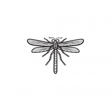 Yusufçuk el çizilmiş kroki simgesi.