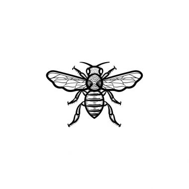 Arı el çizilmiş kroki simgesi.