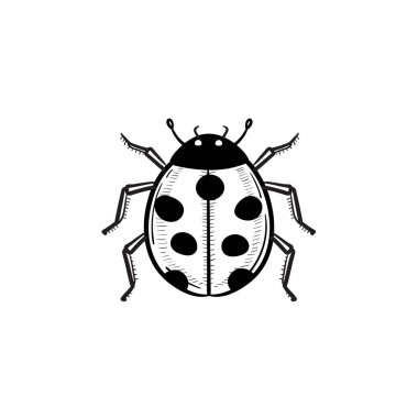 Uğur böceği el çizilmiş kroki simgesi.