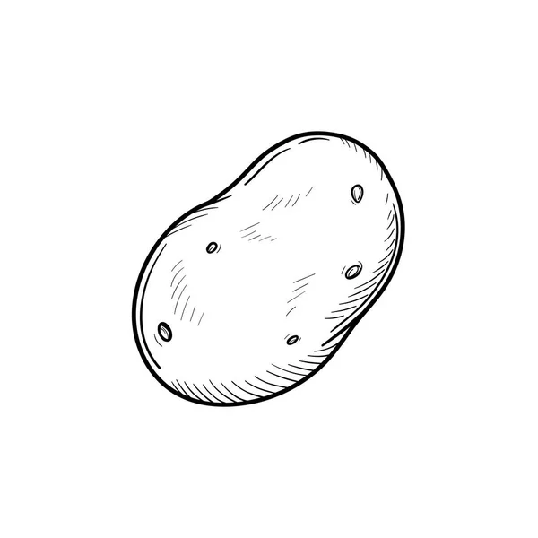 Icono dibujado a mano patata boceto . — Vector de stock