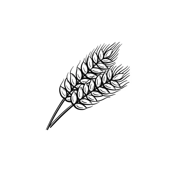 Weizen handgezeichnete Skizze Symbol. — Stockvektor
