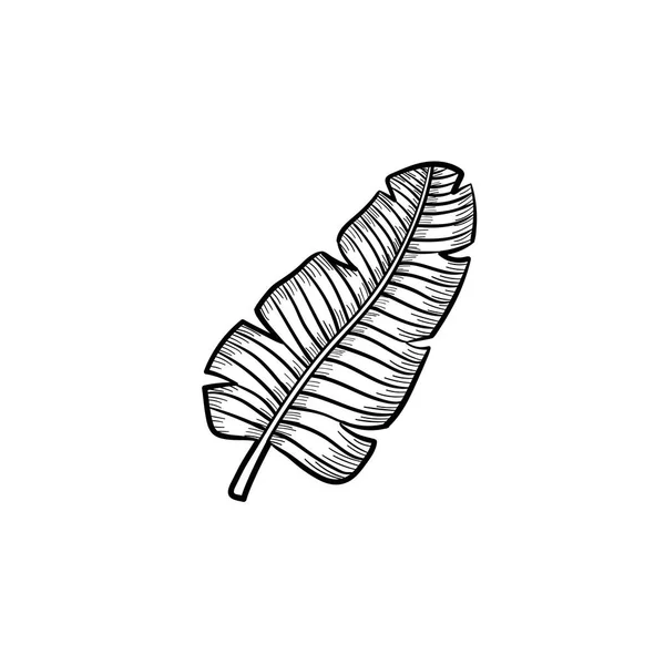 Tropical folha de palma mão desenhada ícone esboço . —  Vetores de Stock