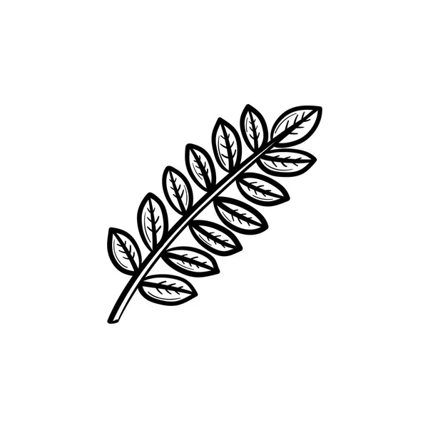 Folhas na mão ramo desenhado ícone esboço . —  Vetores de Stock