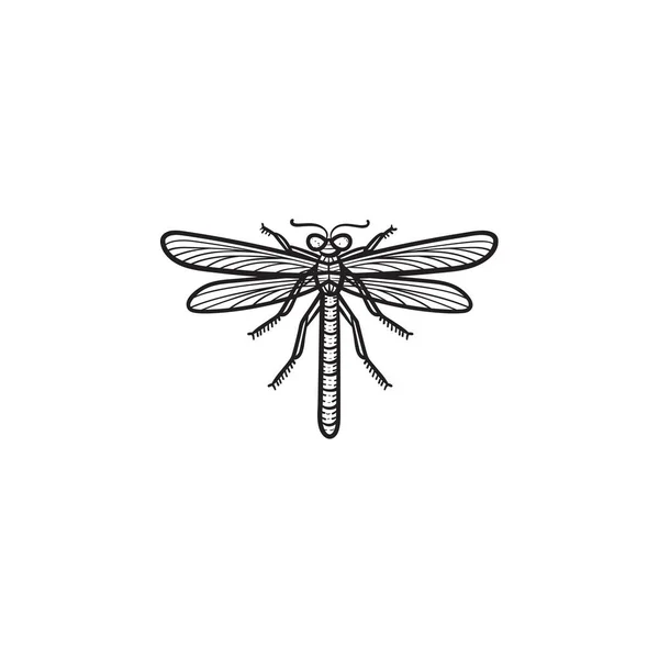 Dragonfly hand drawn sketch icon. — Stock Vector