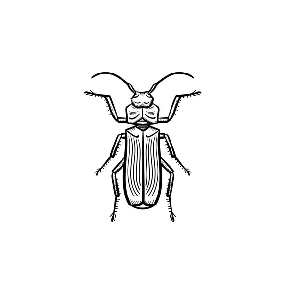 Beetle hand drawn sketch icon. — Stock Vector