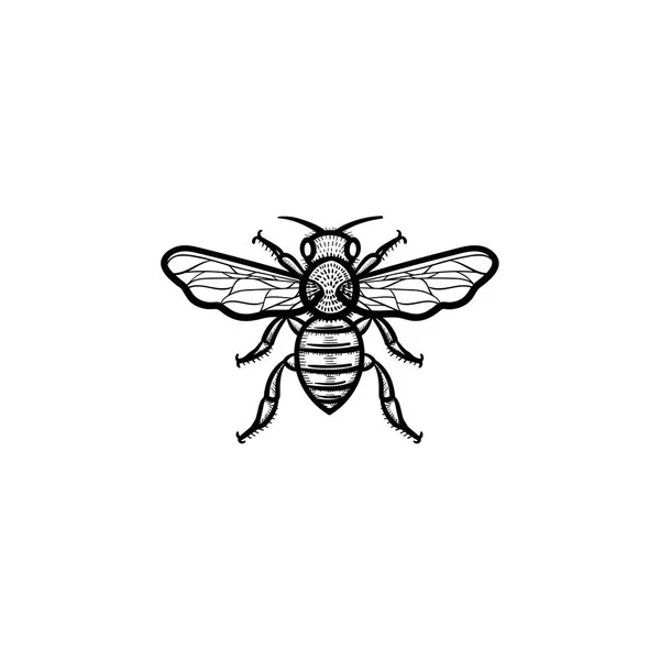 Bee hand drawn sketch icon. — Stock Vector