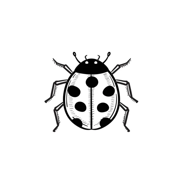 Lieveheersbeestje hand getrokken schets pictogram. — Stockvector