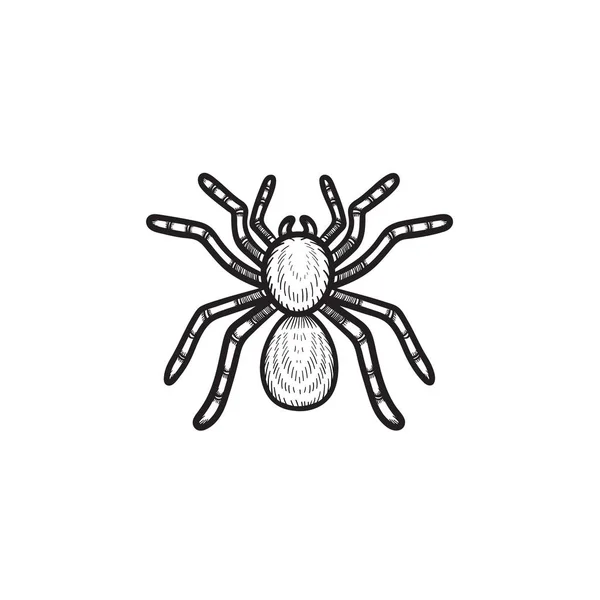 Pavouk tarantule ručně tažené skica ikony. — Stockový vektor
