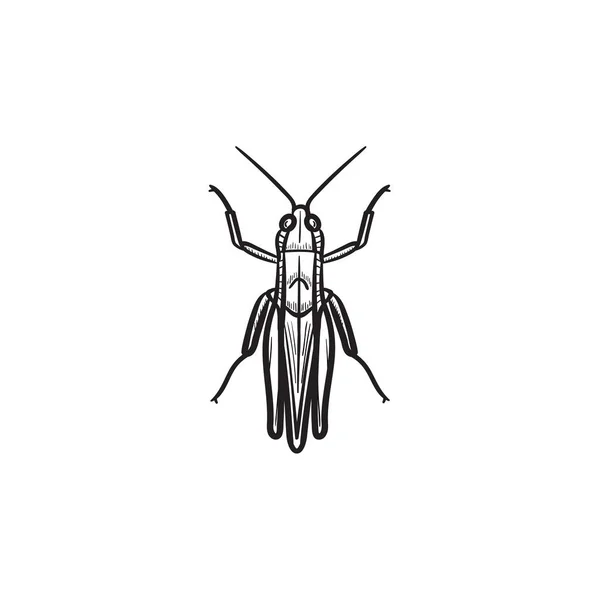 Icona schizzo disegnato a mano Grasshopper . — Vettoriale Stock
