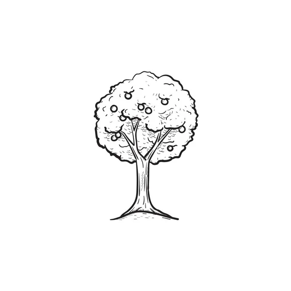 Árbol frutal dibujado a mano icono del boceto . — Vector de stock
