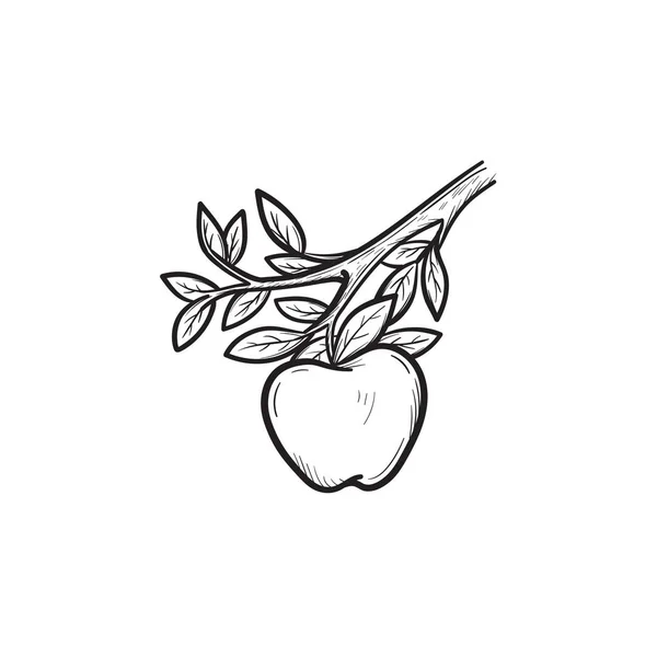 Pomme récolte dessin à la main icône croquis . — Image vectorielle