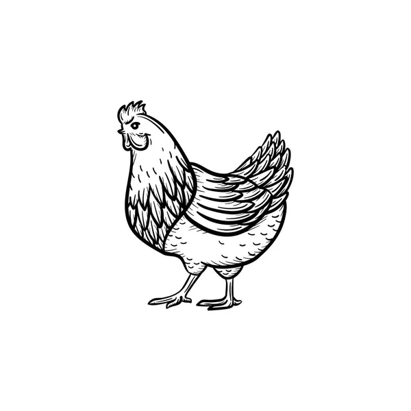 Chicken hand drawn sketch icon. — Stock Vector