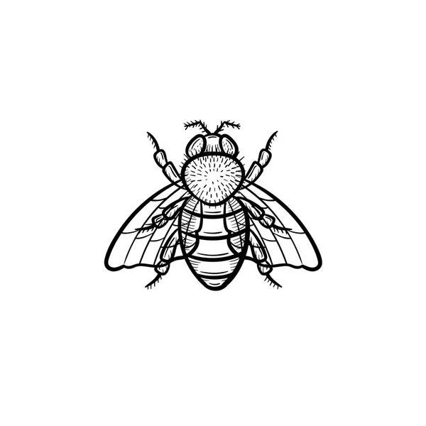 Fly hand drawn sketch icon. — Stock Vector