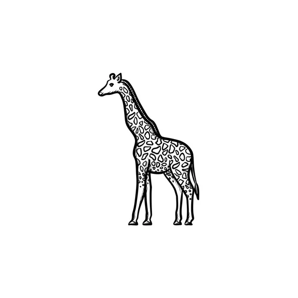 Піктограма замальованого ескізу рукою Жирафа . — стоковий вектор