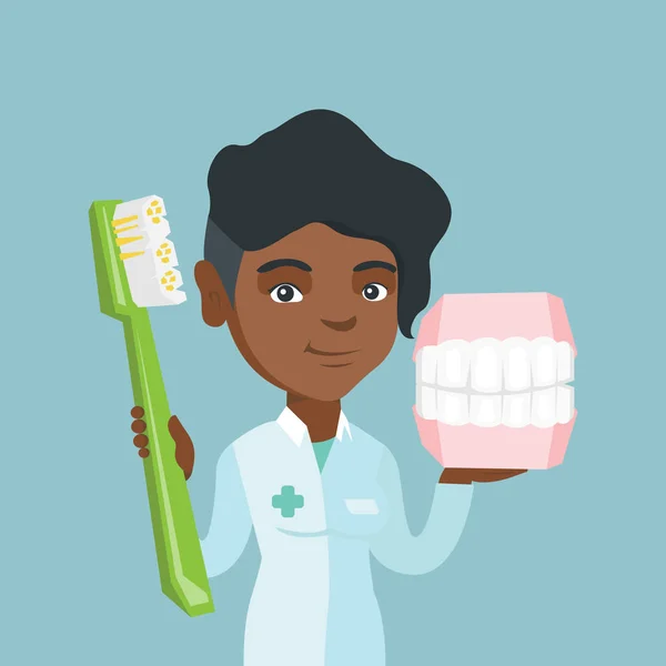 Dentista com modelo de mandíbula dentária e escova de dentes . — Vetor de Stock