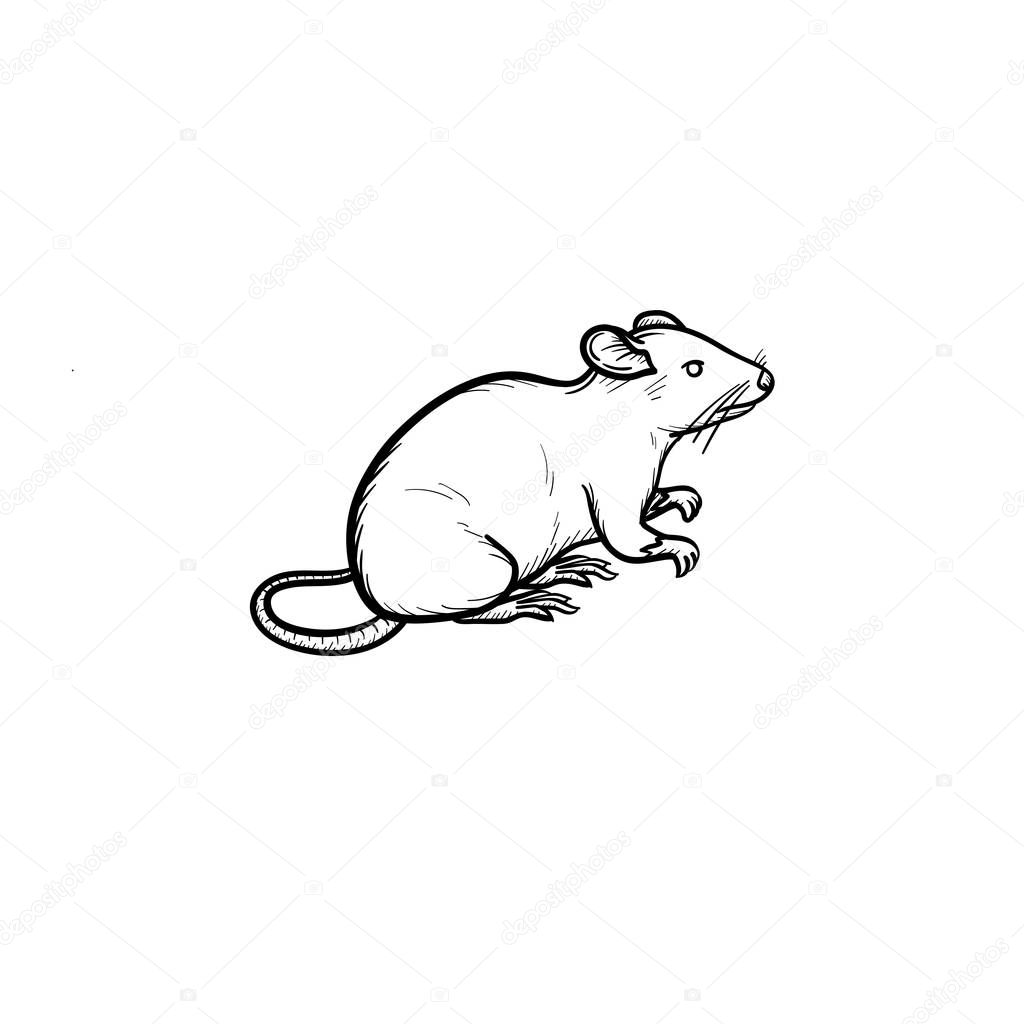 Lab rat hand drawn sketch icon.