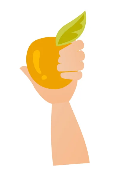 Hand holding an apple vector cartoon illustration. — Stock Vector