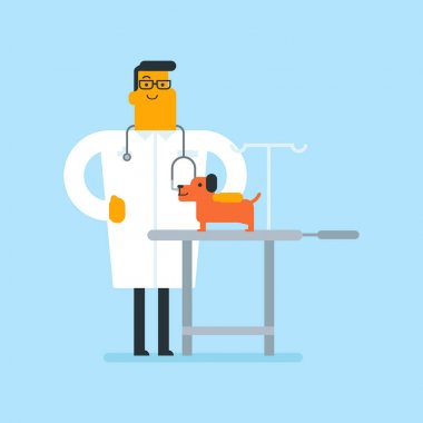 Beyaz beyaz veteriner muayene köpek.