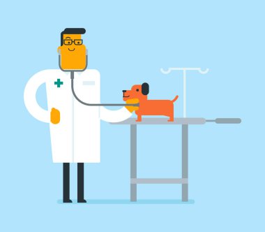 Genç beyaz beyaz veteriner muayene köpek.