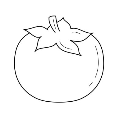 Organik domates vektör satırı simgesi.