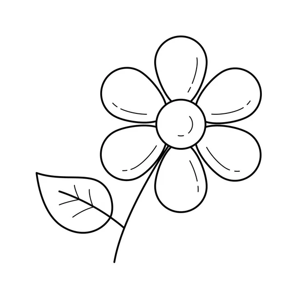 Daisy flor vector línea icono . — Vector de stock