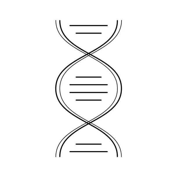 Ícone de linha vetorial de molécula de DNA . — Vetor de Stock