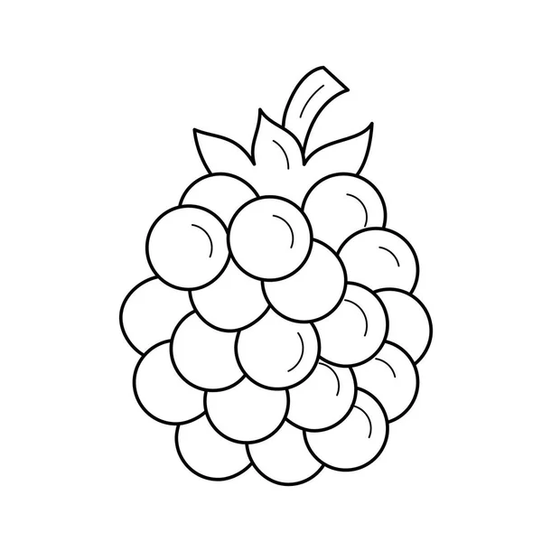Blackberry icône de ligne vectorielle . — Image vectorielle