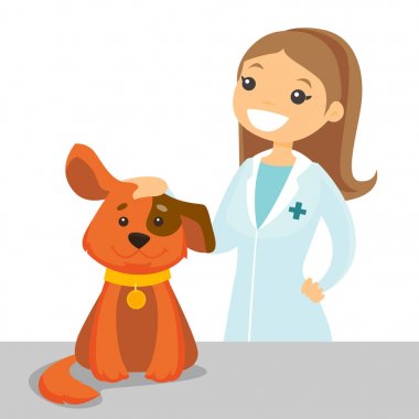 Beyaz beyaz veteriner muayene köpek.