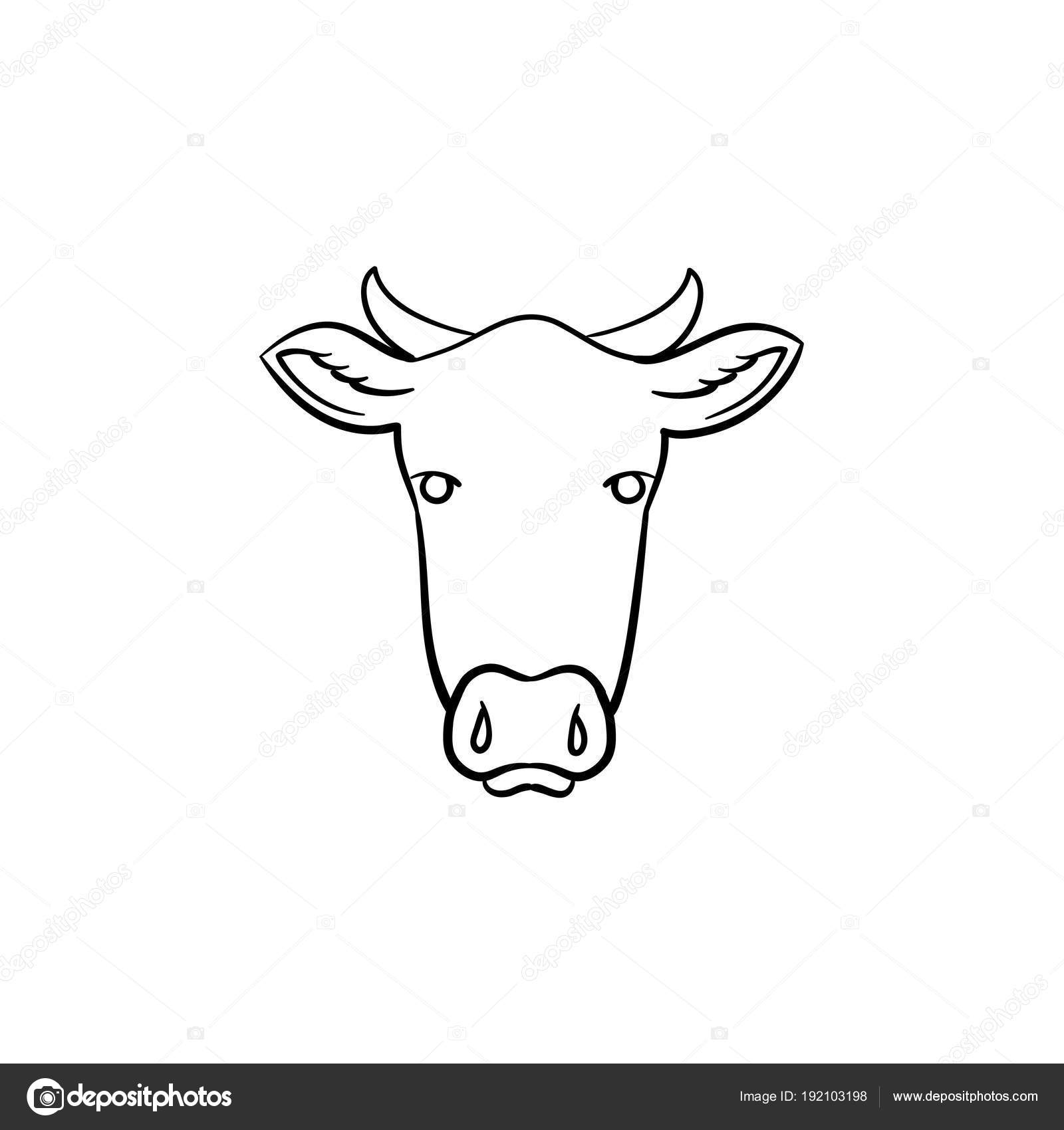Illustration de dessin vectoriel de cow head pour impression web mobile et infographie isolé sur