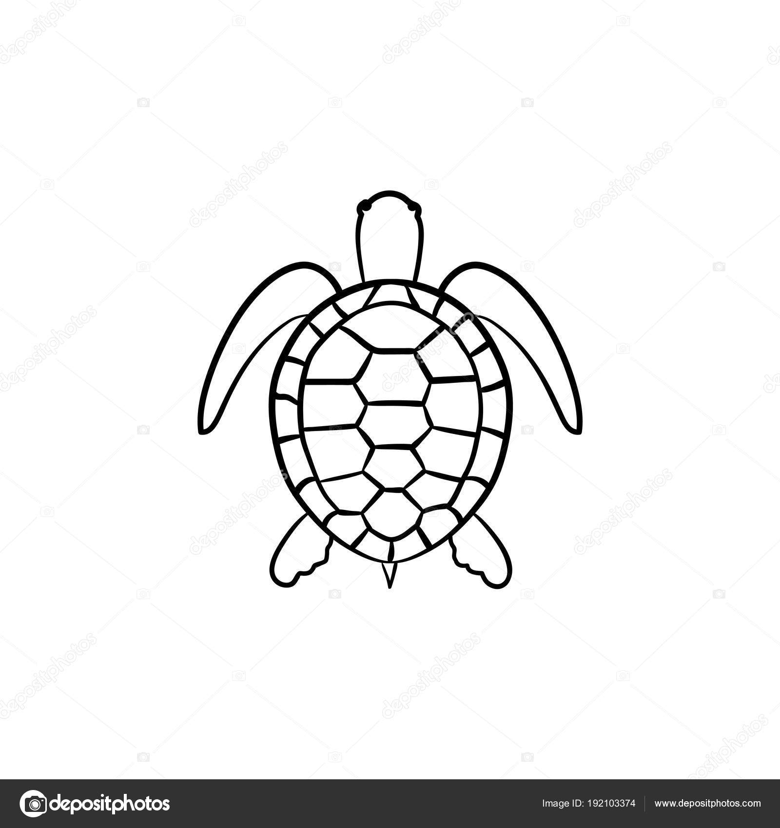 Schildkröte handgezeichnete Skizze Symbol. Stock-Vektorgrafik von