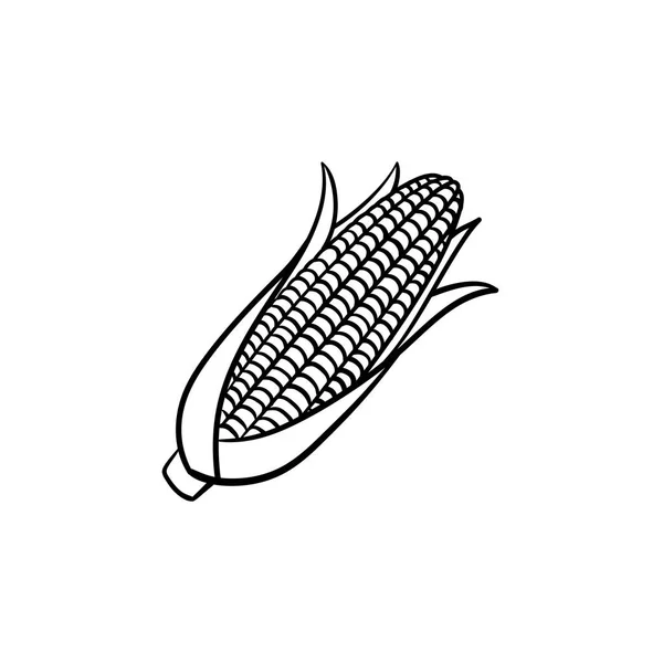 Espiga de milho desenhado à mão ícone esboço . — Vetor de Stock