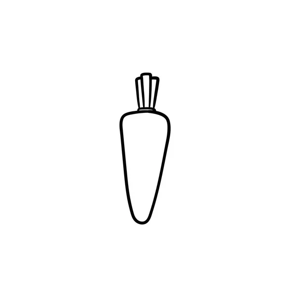 Cenoura orgânica fresca desenhada à mão ícone esboço . —  Vetores de Stock