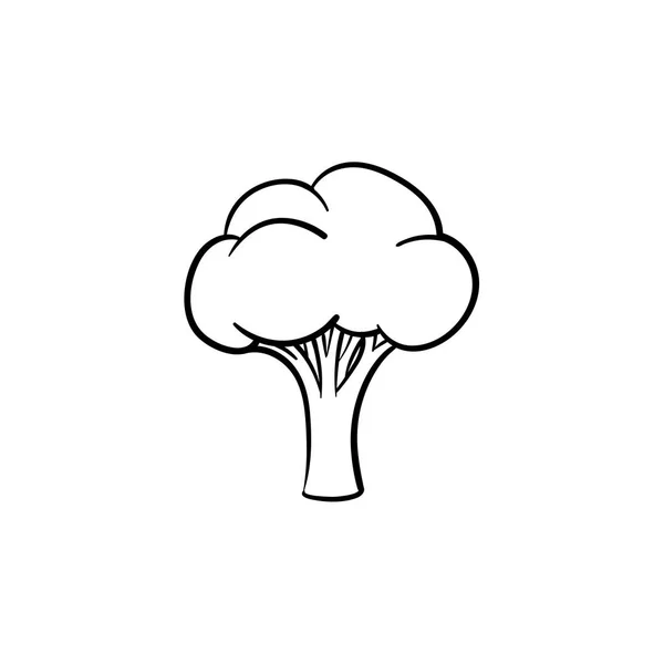 Broccoli hand getrokken schets pictogram. — Stockvector